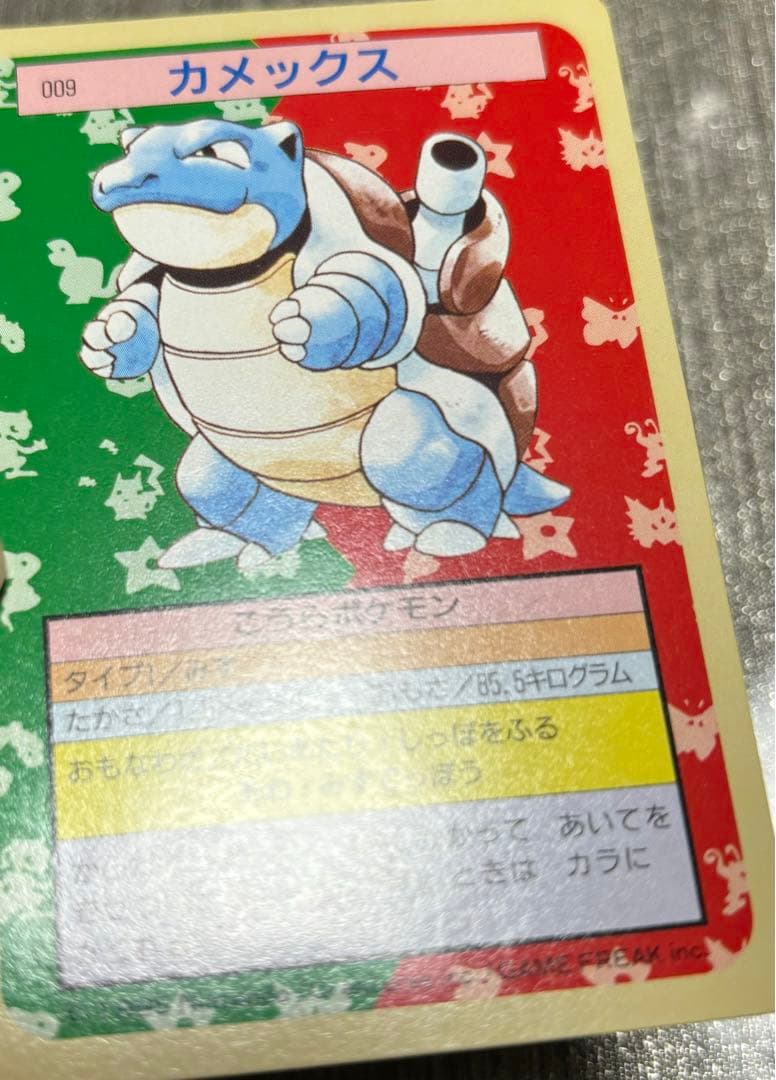 【セット】ポケモンカード　トップサン　カメックス　裏緑　カメール　裏青