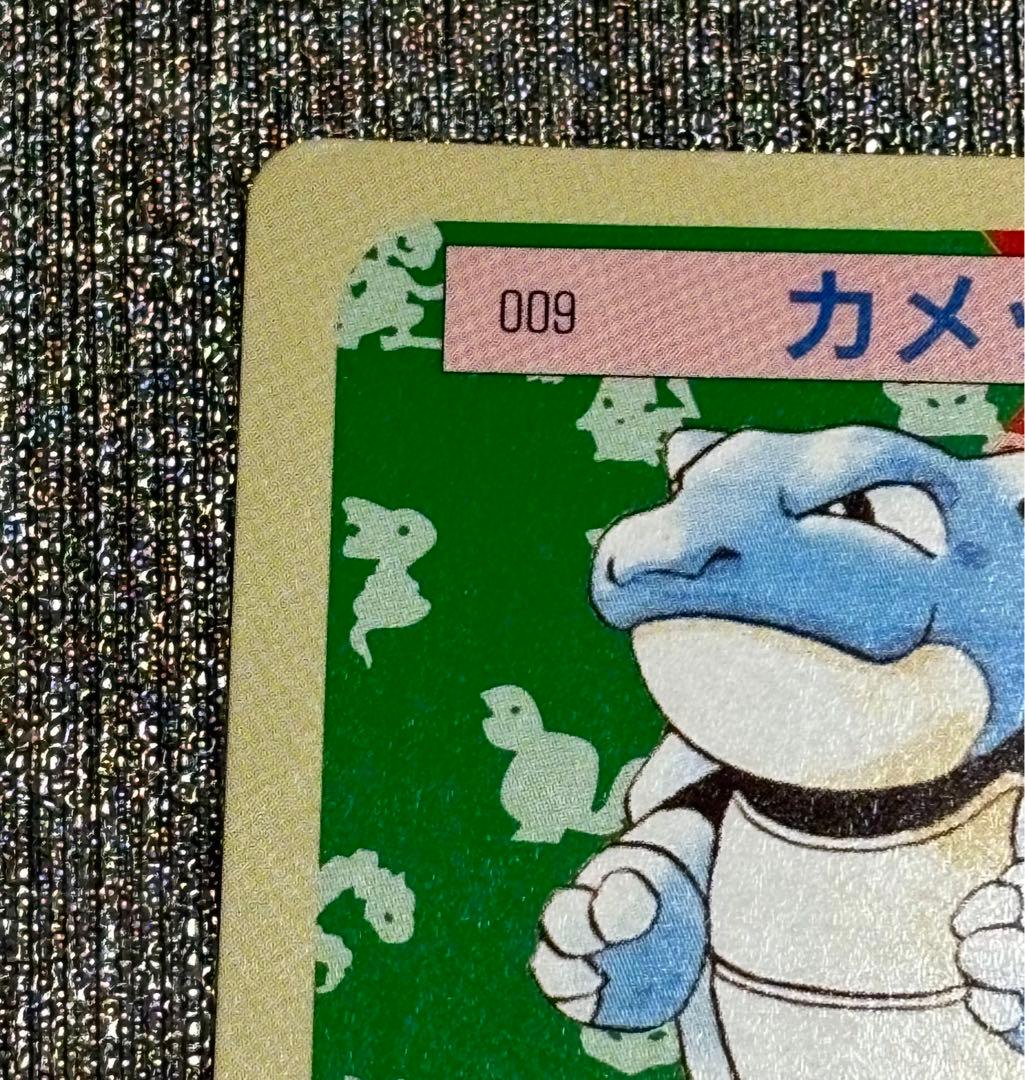 【セット】ポケモンカード　トップサン　カメックス　裏緑　カメール　裏青