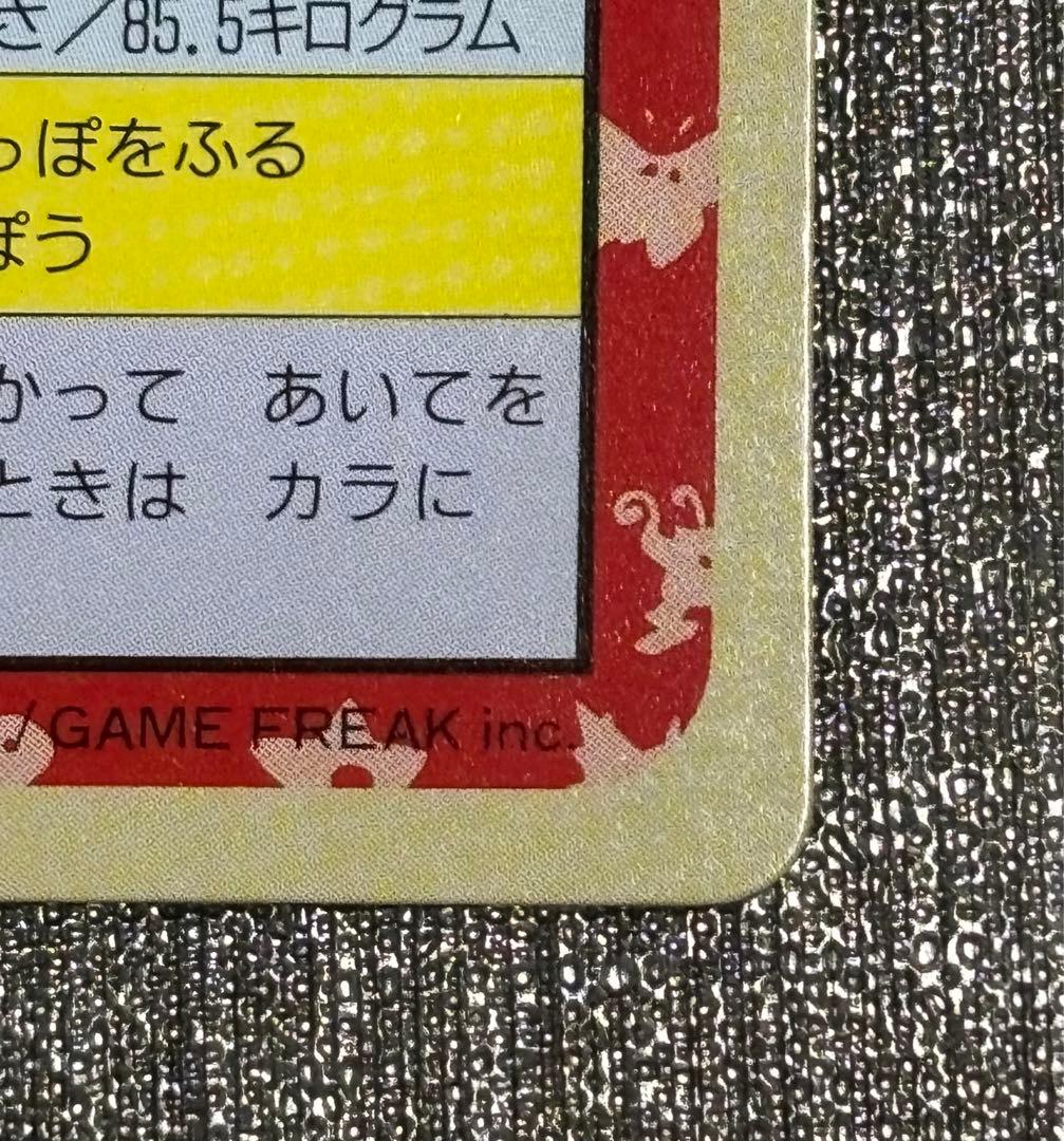【セット】ポケモンカード　トップサン　カメックス　裏緑　カメール　裏青