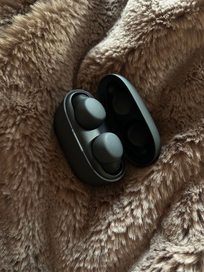 LinkBuds S (WF-LS900N) ブラック