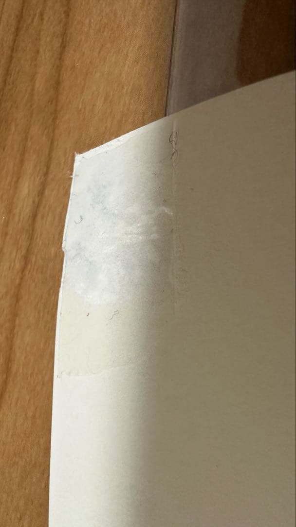 Alexander Girard ポスター