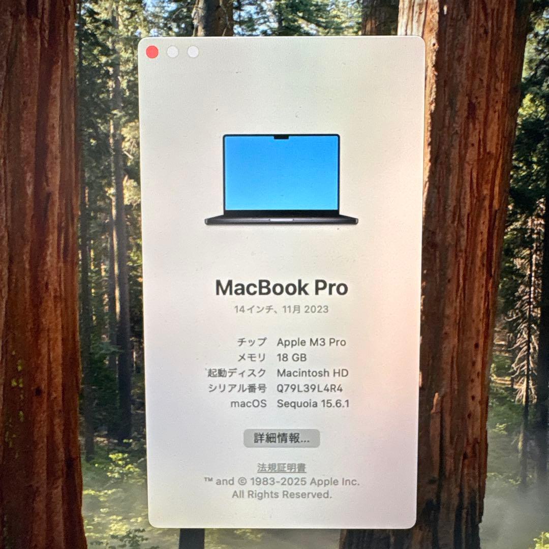ヨ*ジ様 【美品】MacBook Pro 14インチ M3 Pro 18GB/5