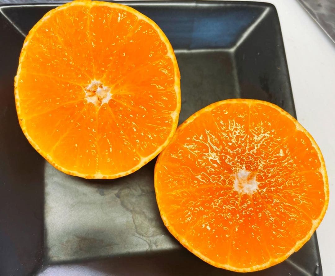 専用出品　ナモコア様　5kg