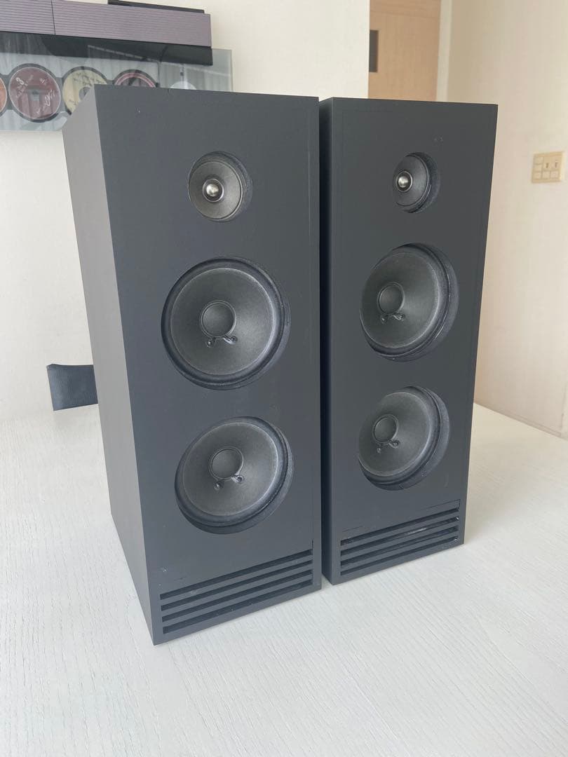 自作フルレンジ2発バックロードホーンスピーカー