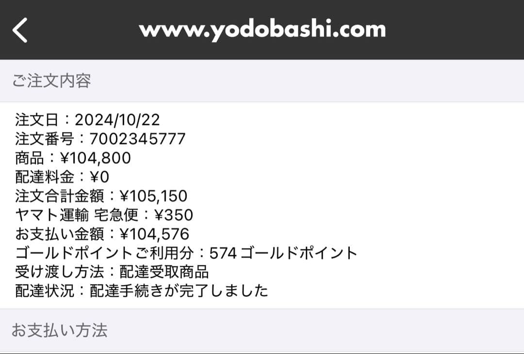 iPad mini7 WiFi&Celluar 128GB +ペンシル+ケース