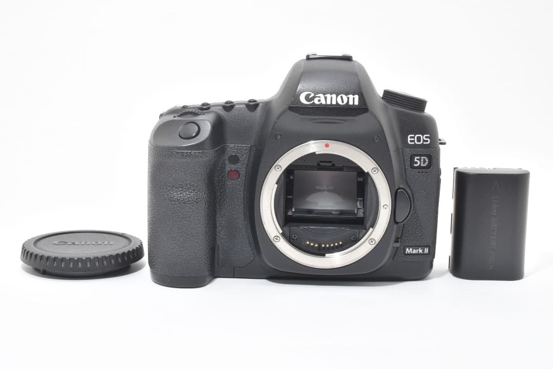 ショット数: 22089回 Canon EOS 5D Mark II #1107