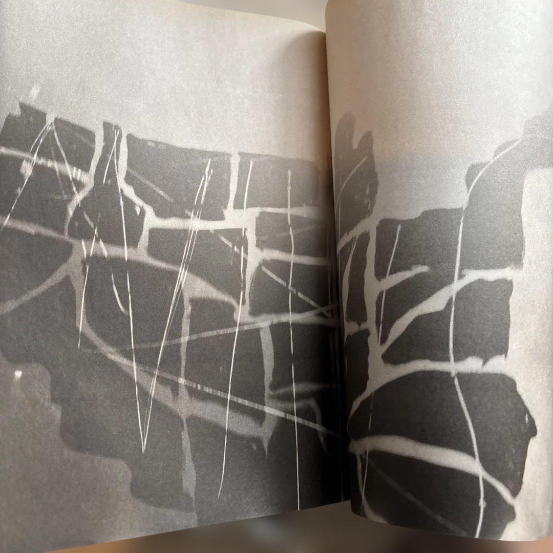 マークボスウィック　写真集