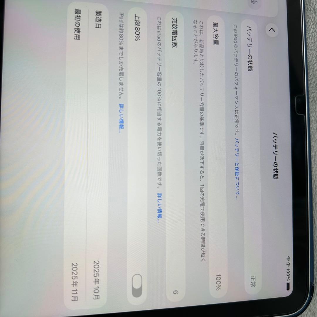 Apple iPad 11インチ シルバー 本体 16A