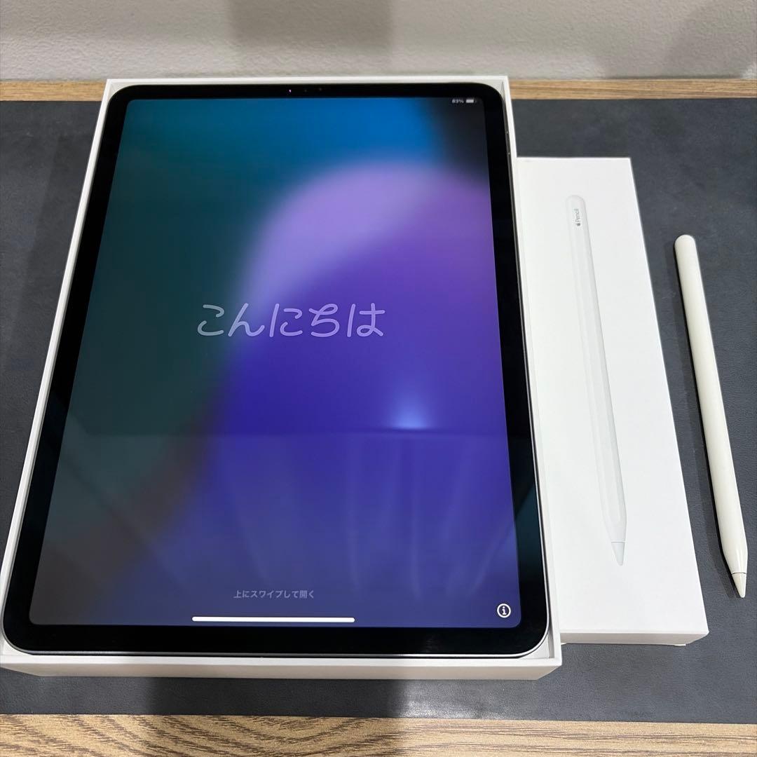 iPad Pro 11インチ 256GB（第1世代）+Apple Pencil