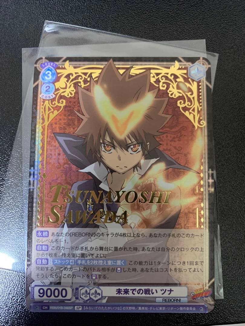 ヴァイスシュヴァルツヴラウ　未来での戦い　ツナ　SP