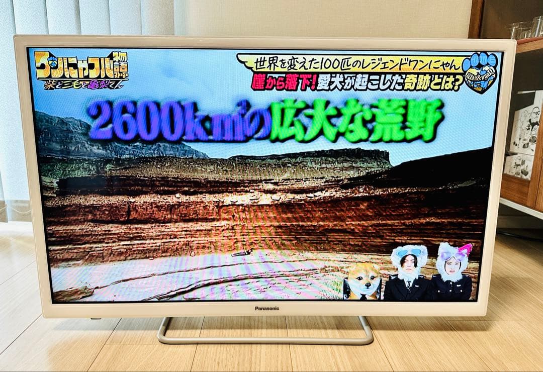 Panasonic ネット動画対応液晶テレビ　TH-32ES500-W