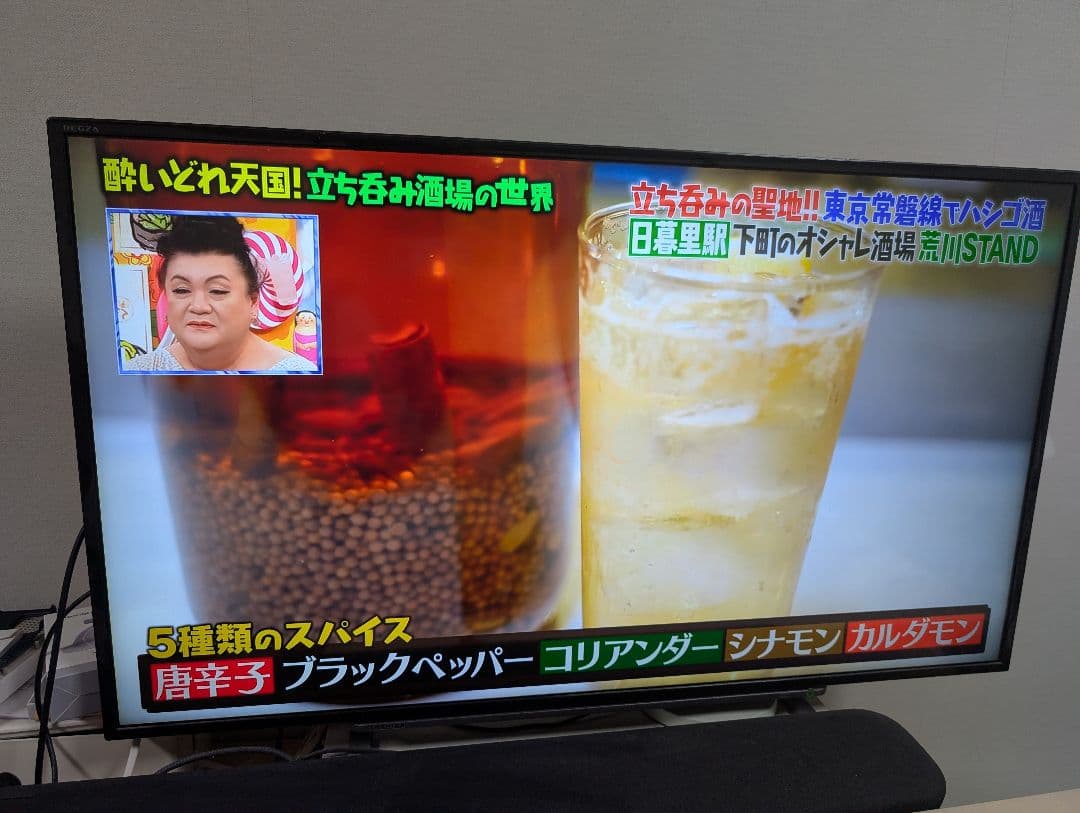 TOSHIBA REGZA 43G20X 43インチ