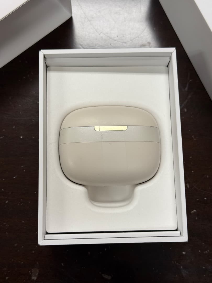 イヤホン Bowers & Wilkins B&W Pi8