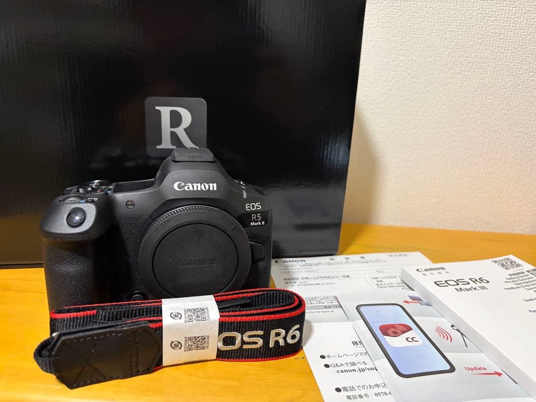 ⭐︎極美品⭐︎Canon EOS R6 Mark III 豪華セット