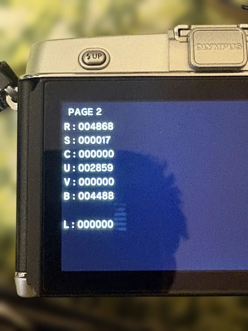 オリンパスOLYMPUS PEN E-P5 ボディ黒／銀(シャッター数少ない)