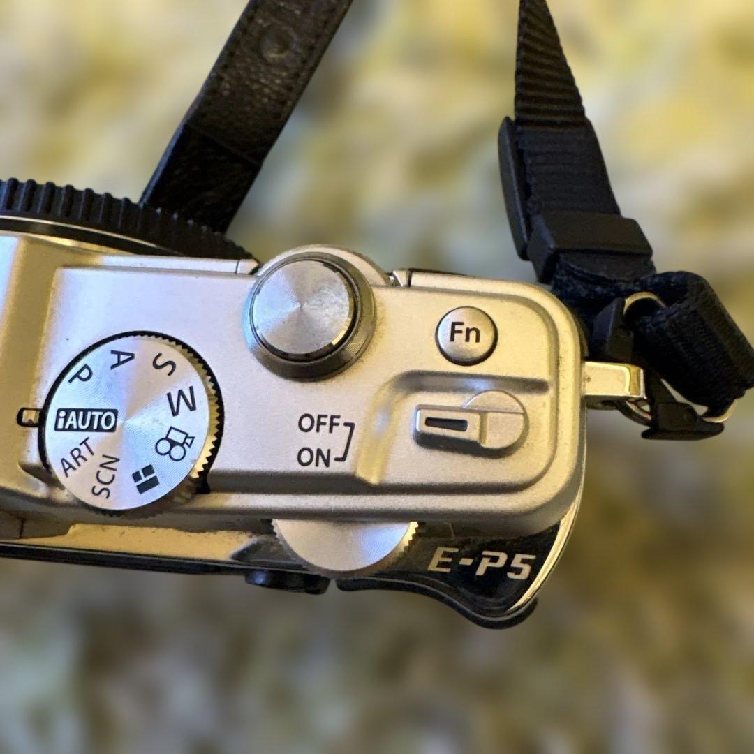 オリンパスOLYMPUS PEN E-P5 ボディ黒／銀(シャッター数少ない)