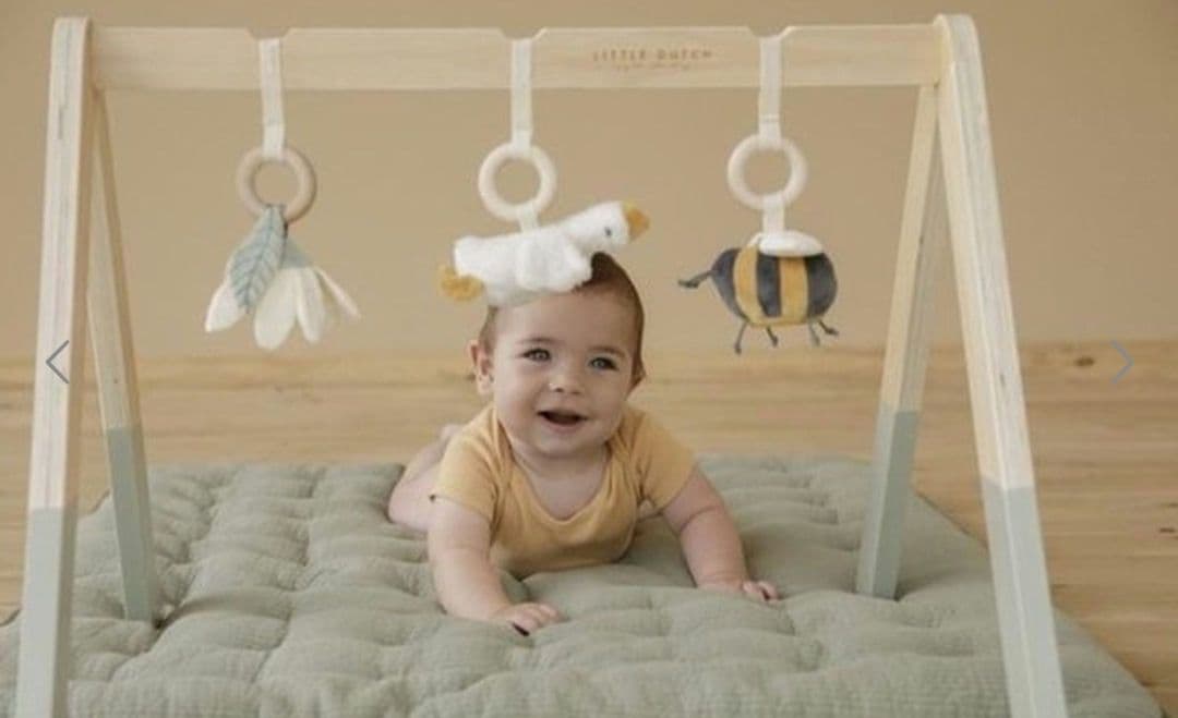 リトルダッチ ベビージム 木製LITTLE DUTCH プレイジム リトルグース