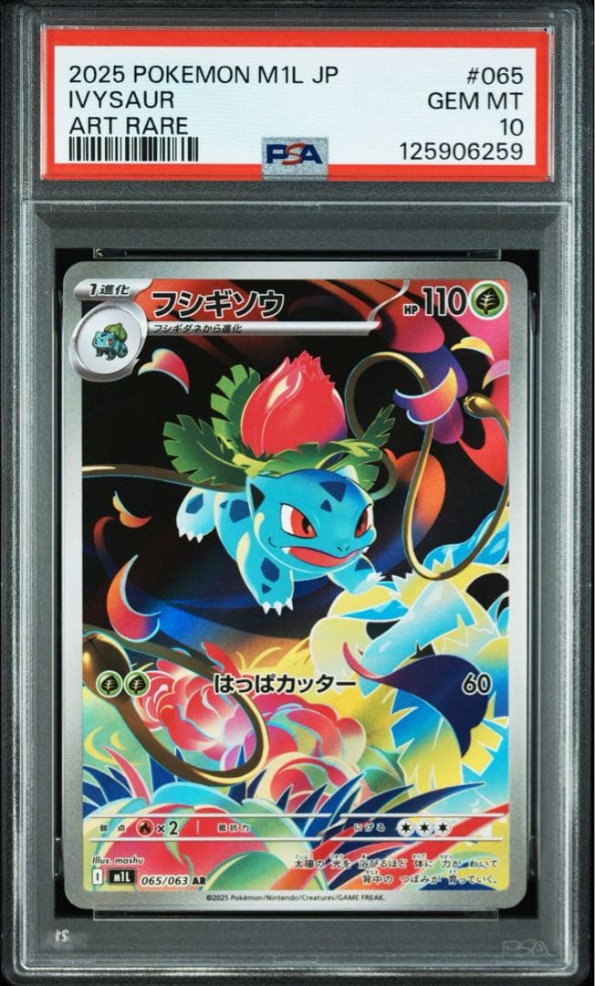 3連番！ フシギダネ フシギソウ AR メガフシギバナex SR【PSA10】