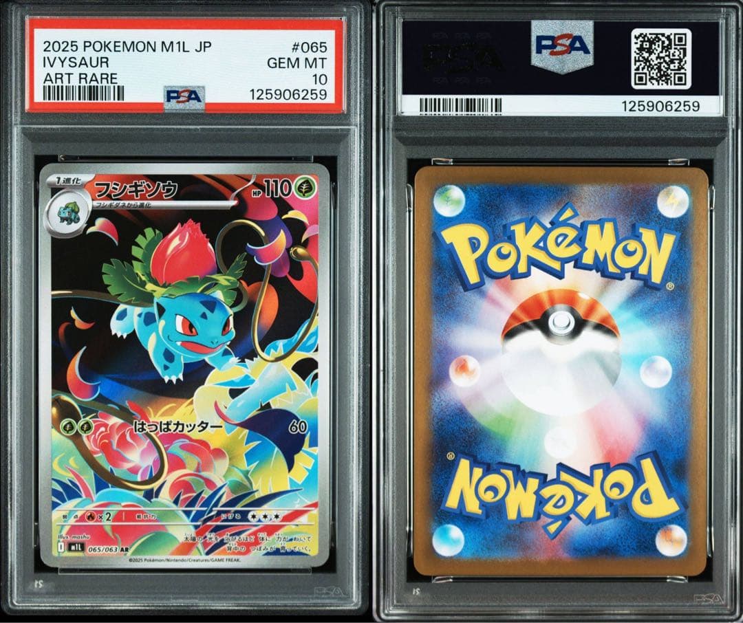 3連番！ フシギダネ フシギソウ AR メガフシギバナex SR【PSA10】