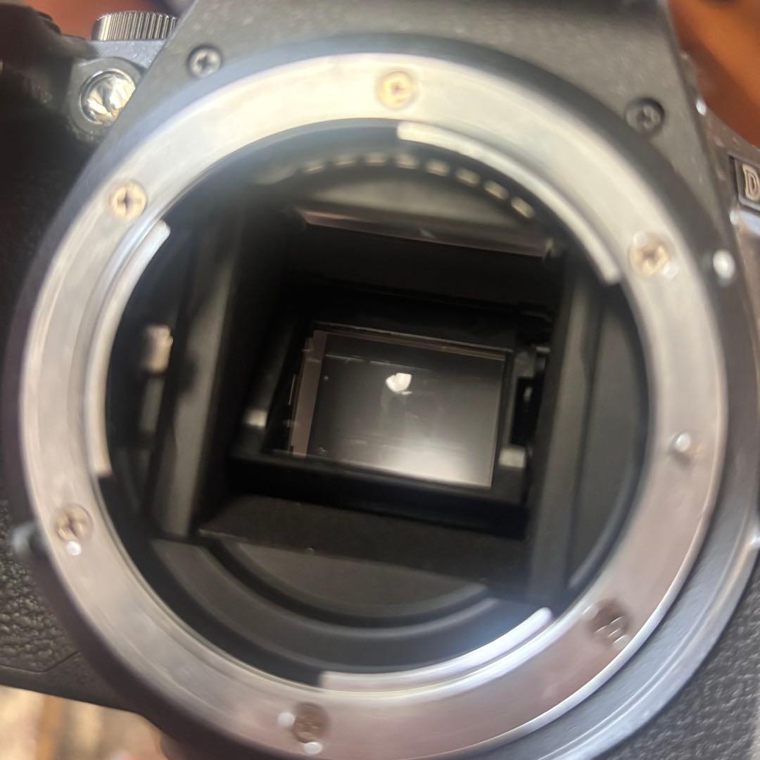 Nikon デジタルー眼レフカメラ D5600