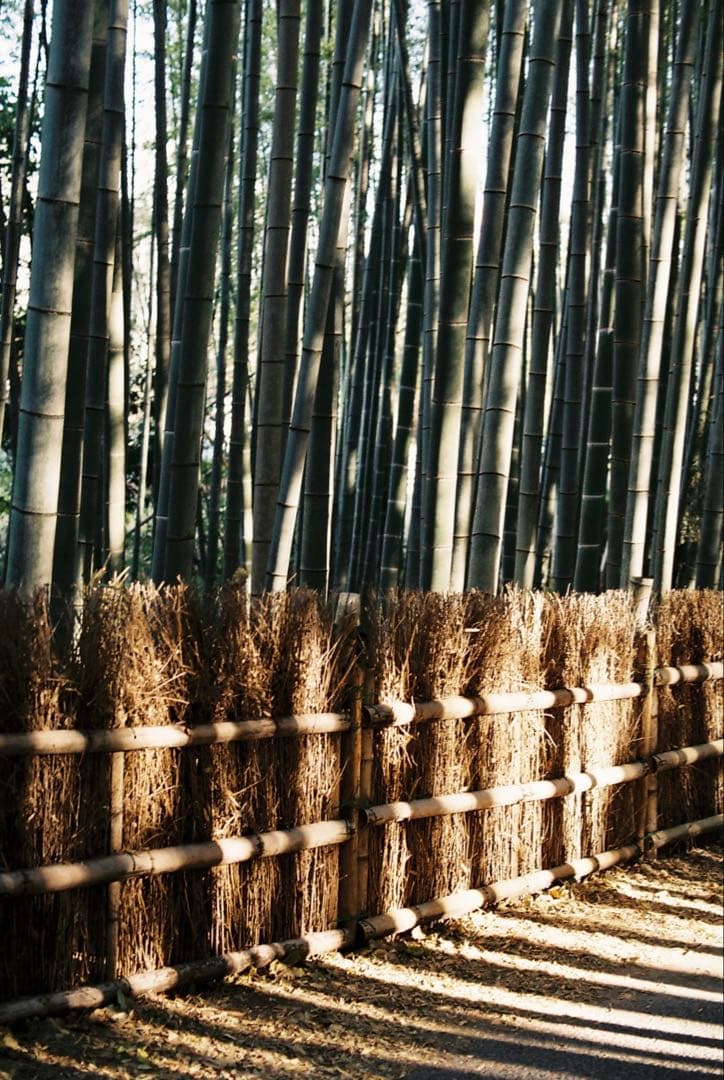 Nikon F2 おまけ付き