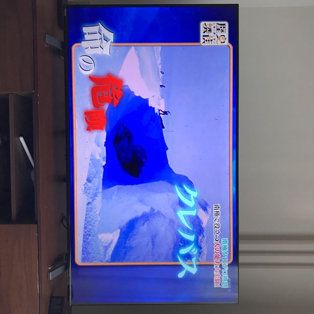 テレビ REGZA 55C305X