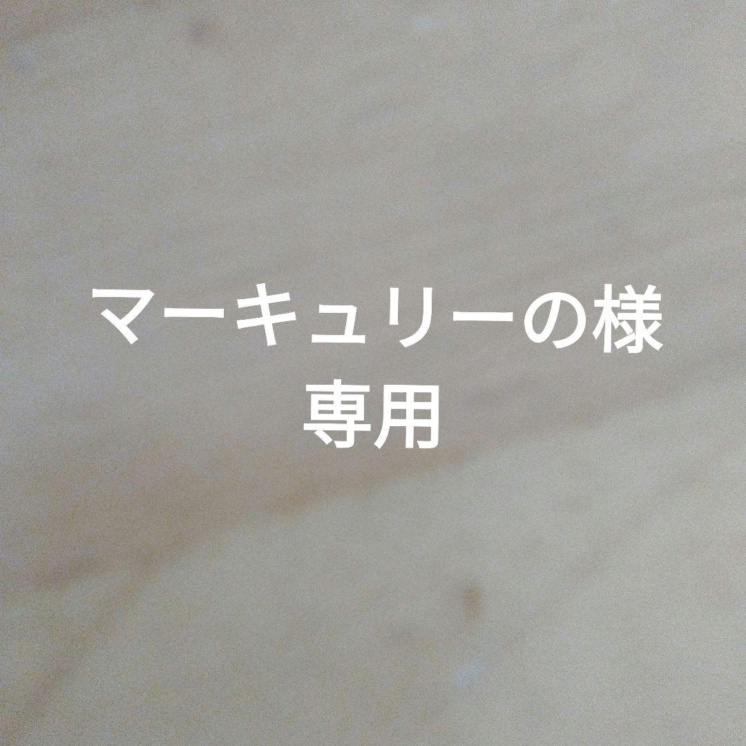 マーキュリーの