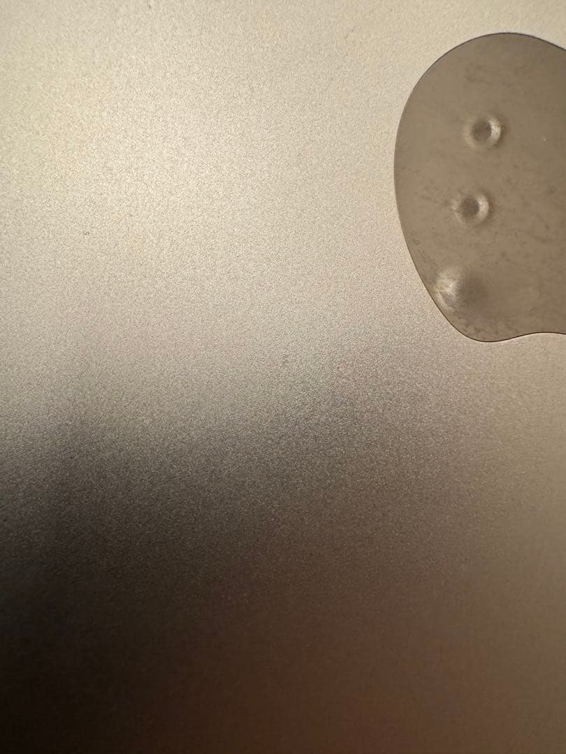 iPad Pro （12.9インチ）