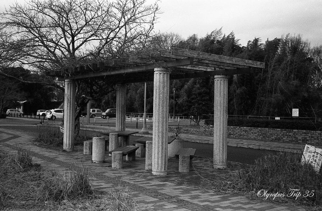 【整備済完動・美品・赤ベロOK！・フィルム試写済】Olympus Trip 35