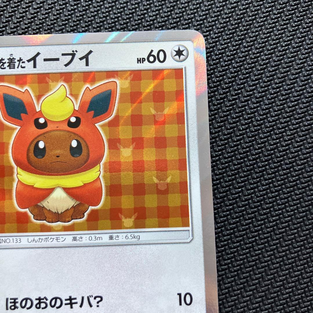 最安値 ポンチョを着たイーブイ ブースター プロモ