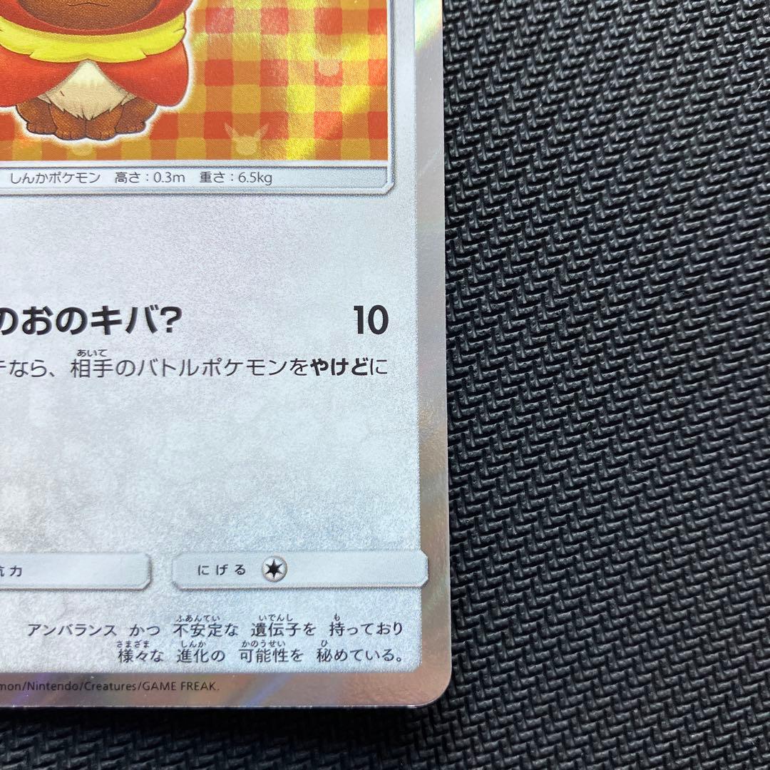 最安値 ポンチョを着たイーブイ ブースター プロモ