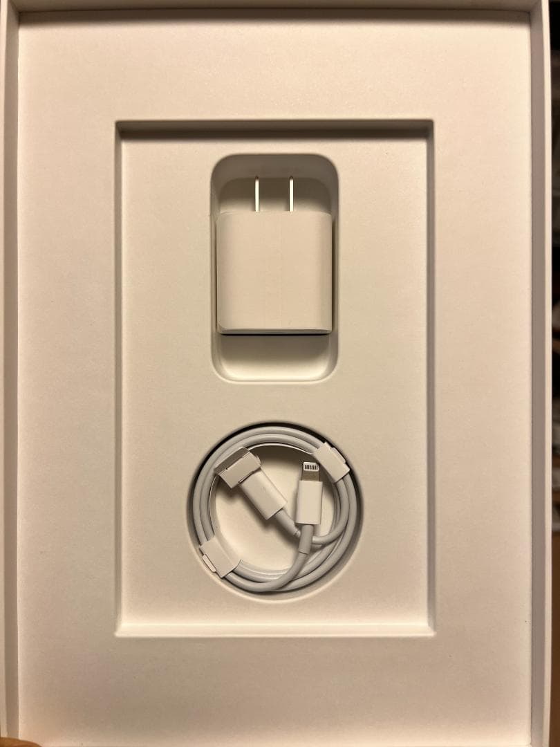 第9世代 iPad 10.2インチ　スターシルバー　64GB