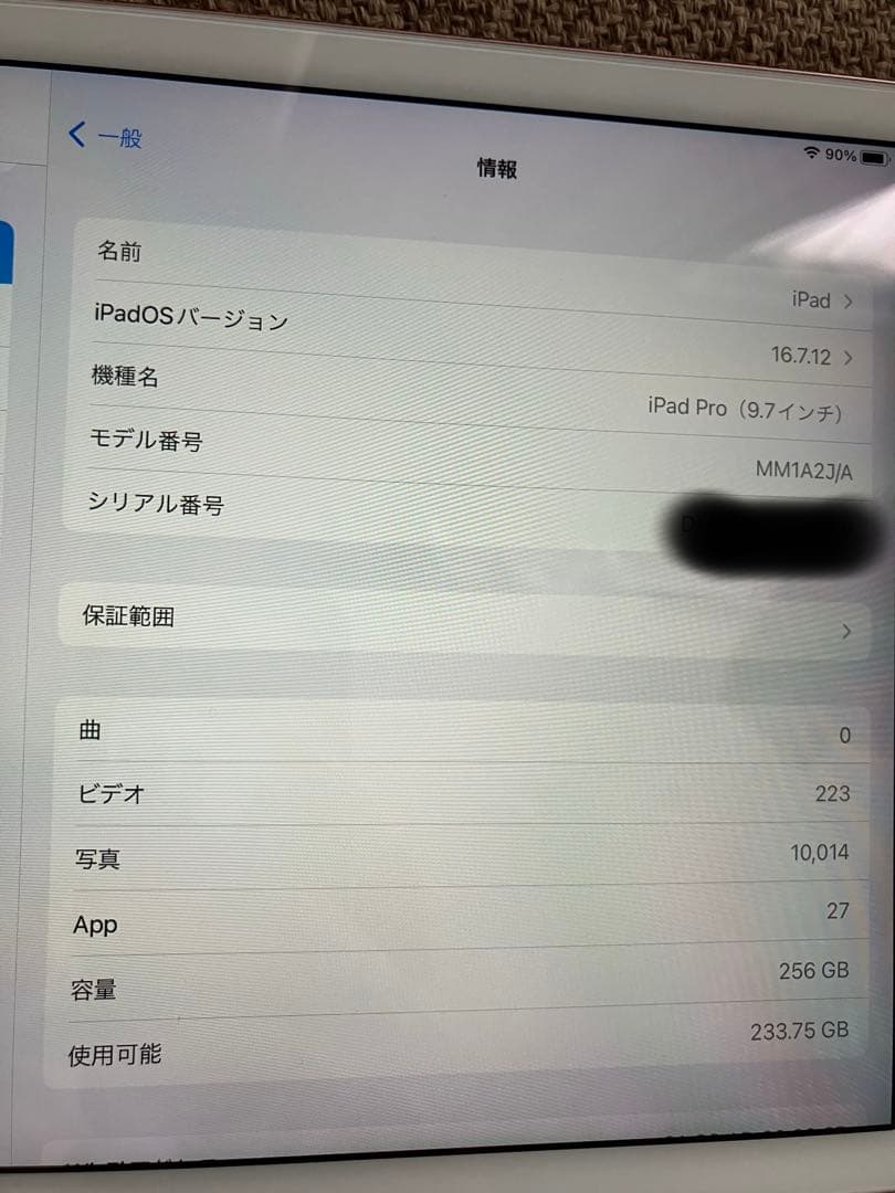 iPad Pro 9.7インチ 256GB A1673 MLMY2J/A