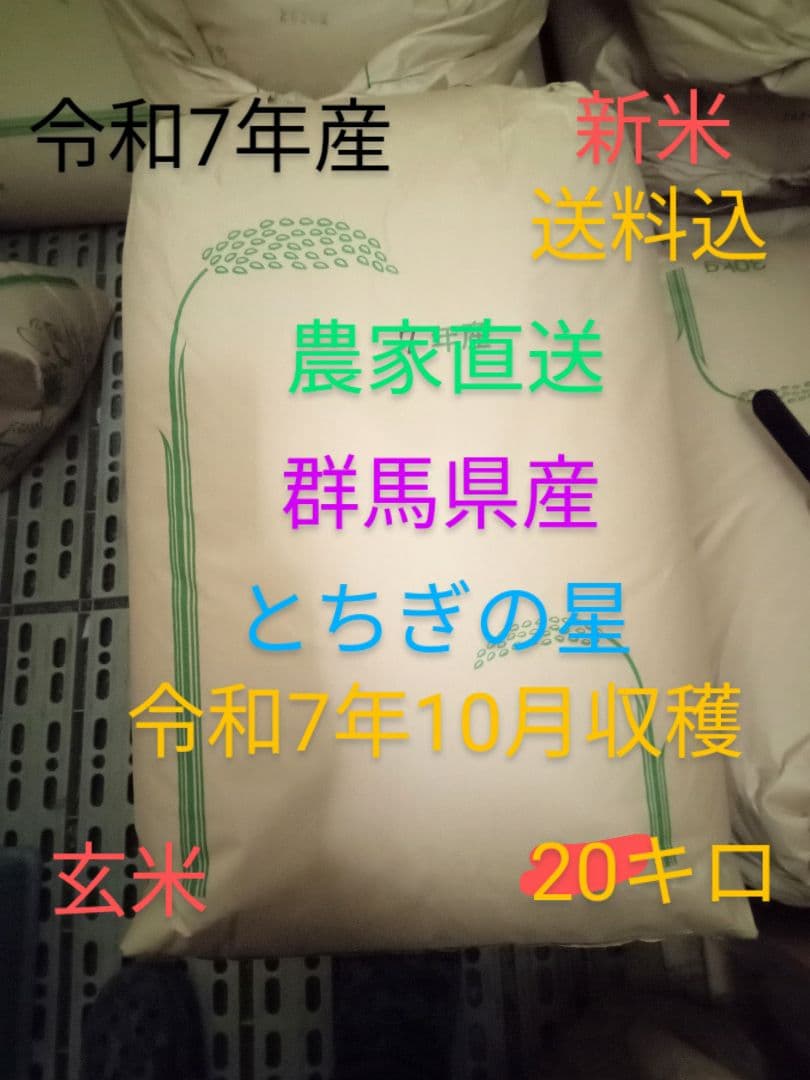 R7年産 新米 群馬県産 とちぎの星 20キロ 玄米 送料込 ②