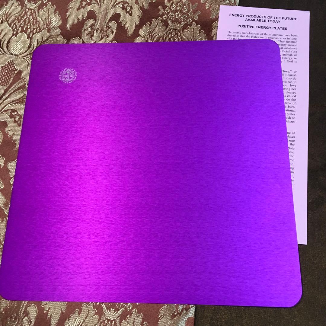 テスラ　パープルプレート　Lサイズ二枚セット