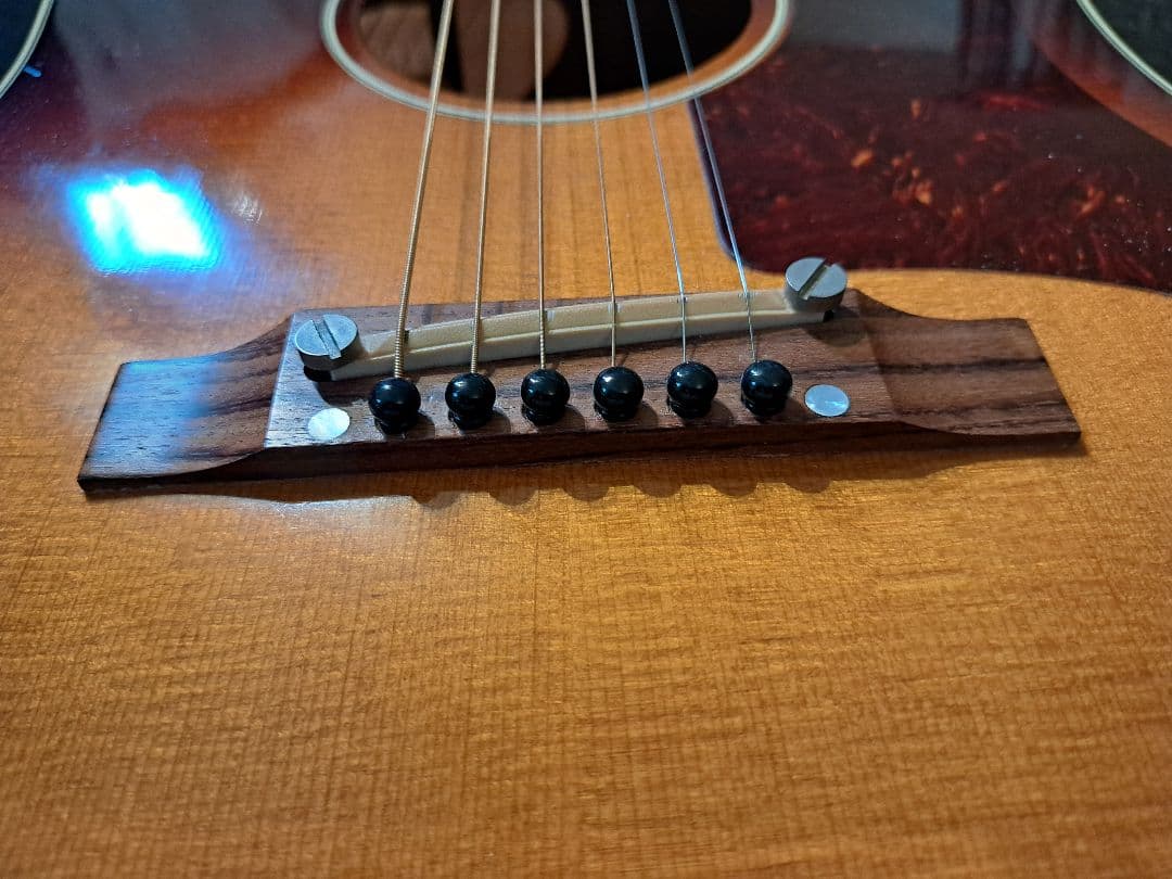 GibsonJ45　The45　ギブソン