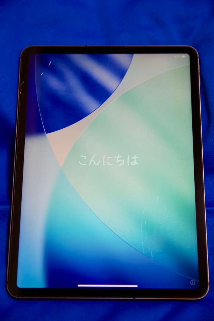 iPad Pro 11インチ 第2世代 Wi-Fi ＋ セルラー 256GB