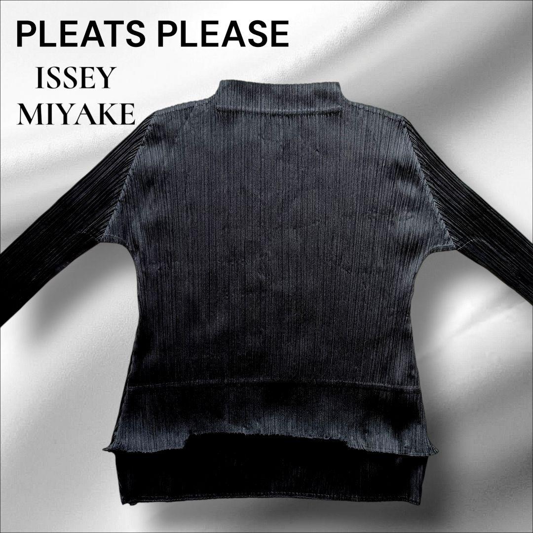 PLEATS PLEATS イッセイミヤケ　ハイネックカットソー　トップス