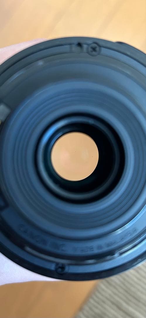 canon EF-S55-250mm F4-5.6 IS STM 望遠レンズ