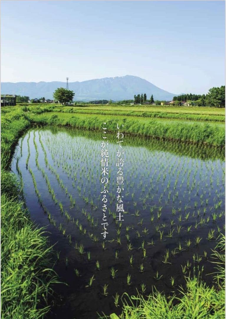 米　白米【令和7年産岩手県産ひとめぼれ10kg】 (5kg×2)モチモチ柔らか！