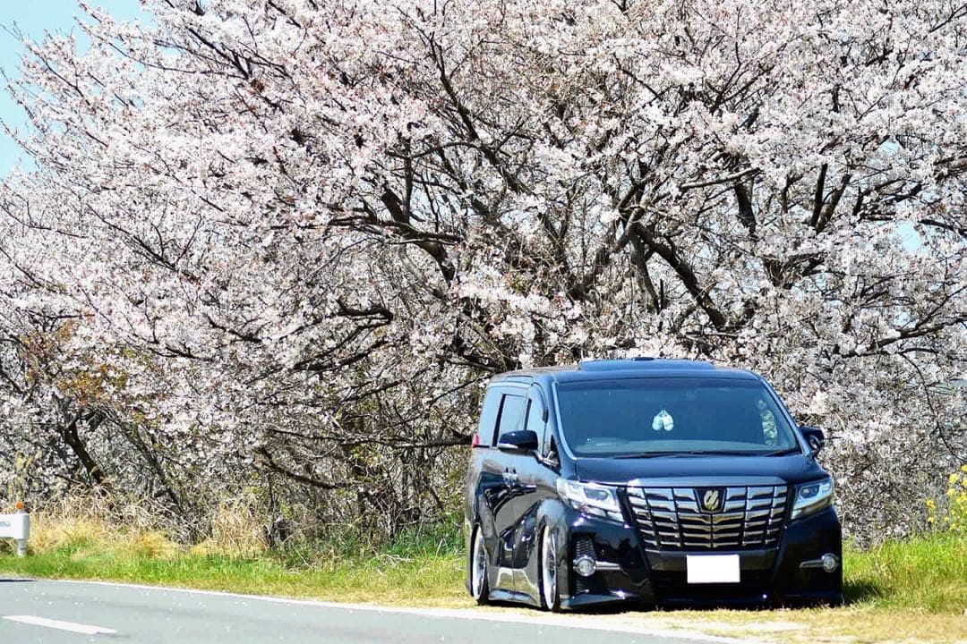 TAMRON A17 Nikon用ズームレンズ