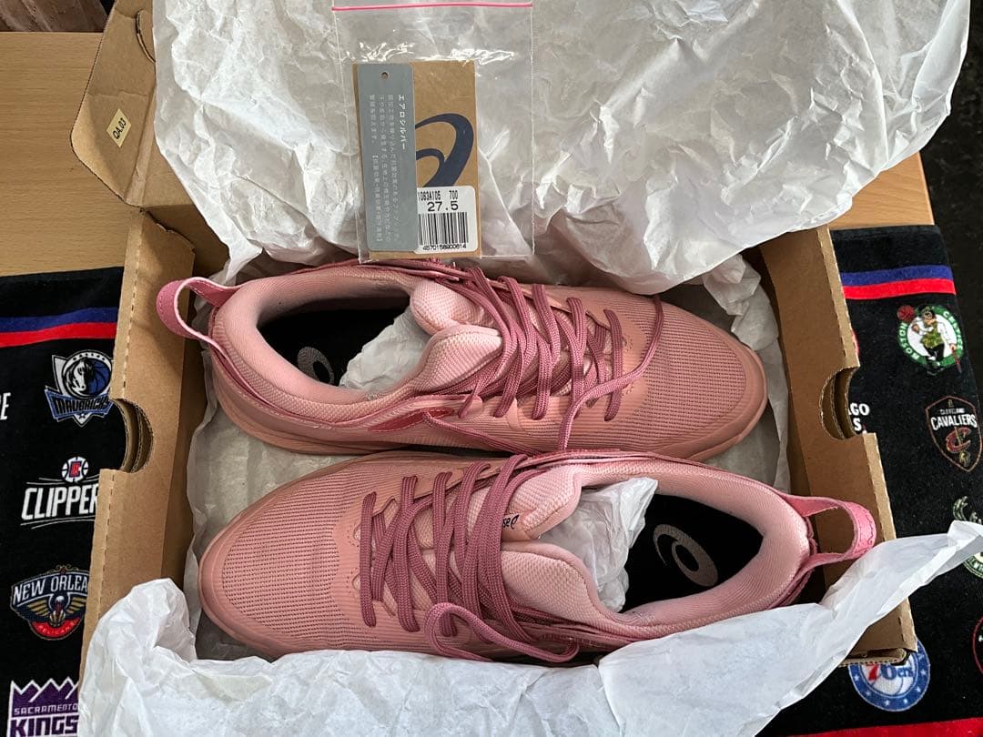 asics メンズバッシュ