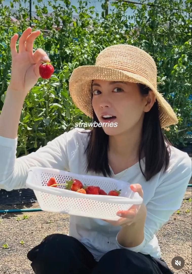 HELEN KAMINSKI プロバンス　美品♡