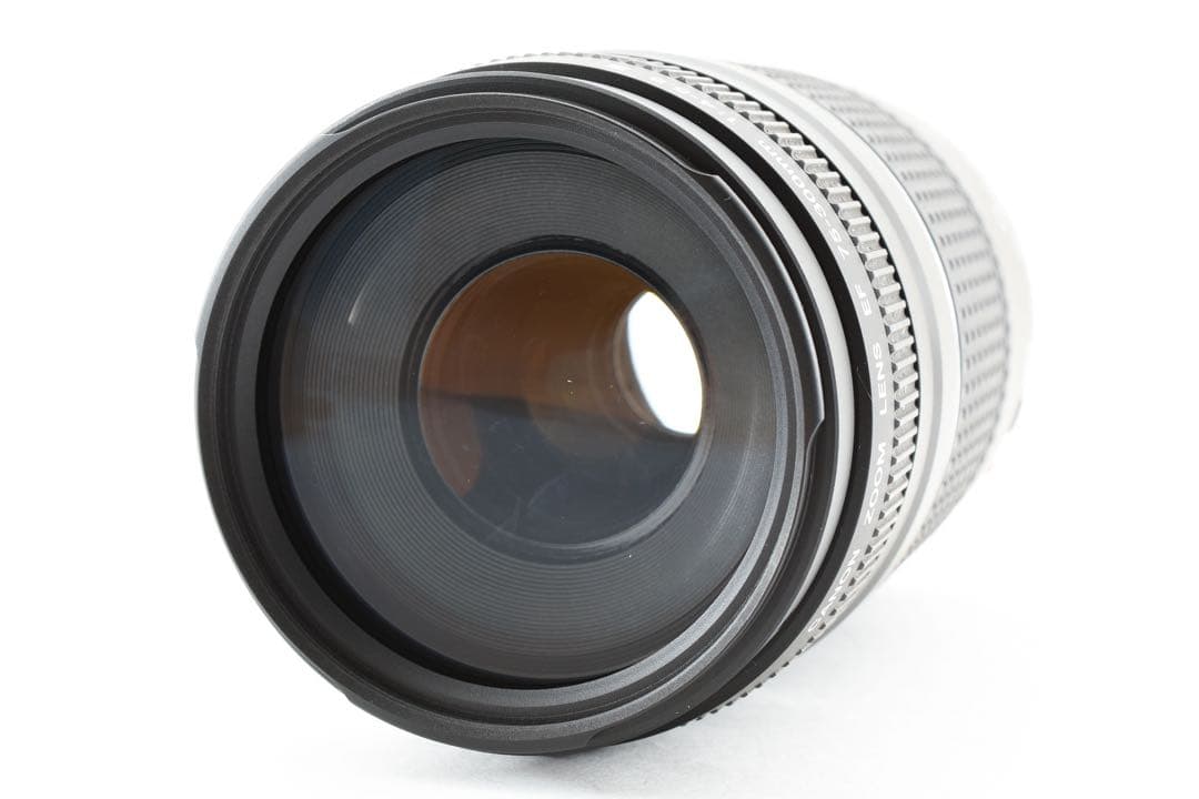 超望遠 300㎜/フルサイズ対応/Canon EF 75-300㎜