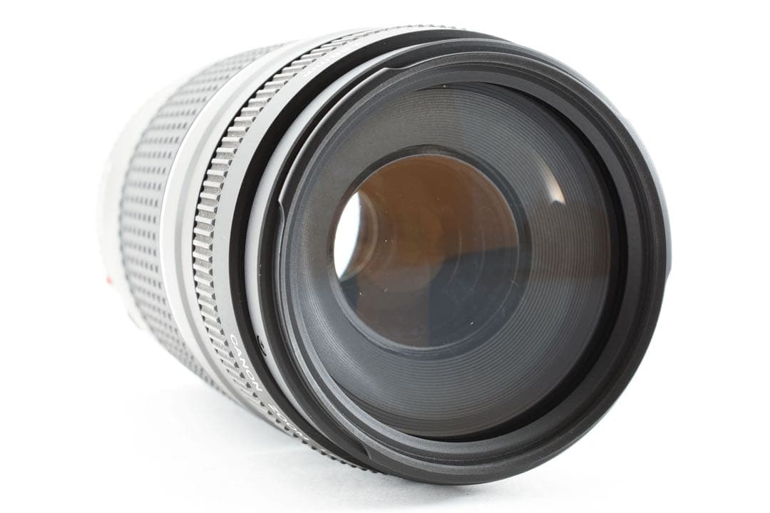 超望遠 300㎜/フルサイズ対応/Canon EF 75-300㎜