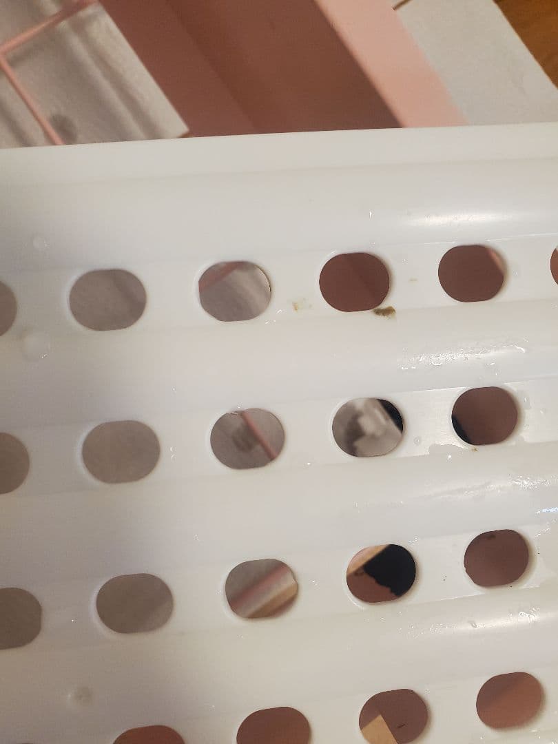 コンフォート60ハイルーフ ロイヤルチンチラDX 限定色