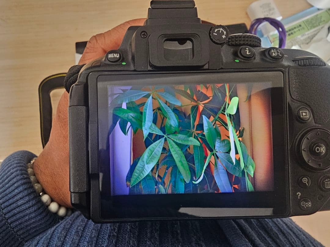 Nikon D5300 18-140mm レンズキット【訳あり・動作確認済み】