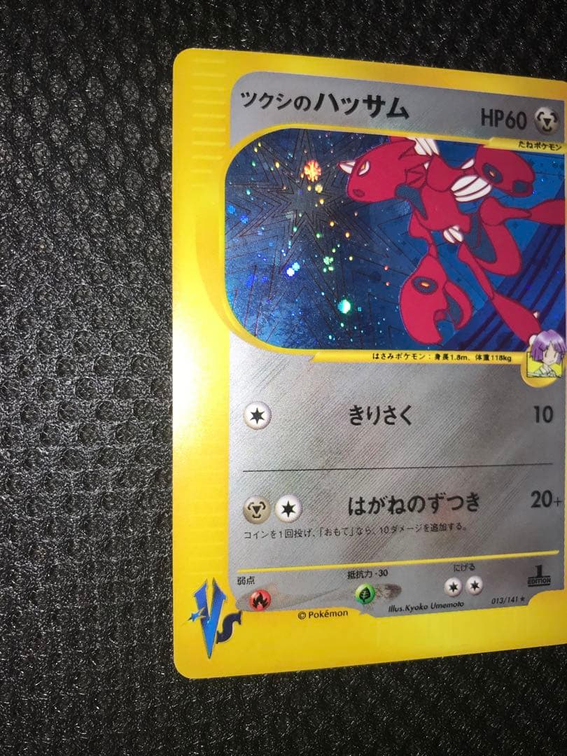 ツクシのハッサム