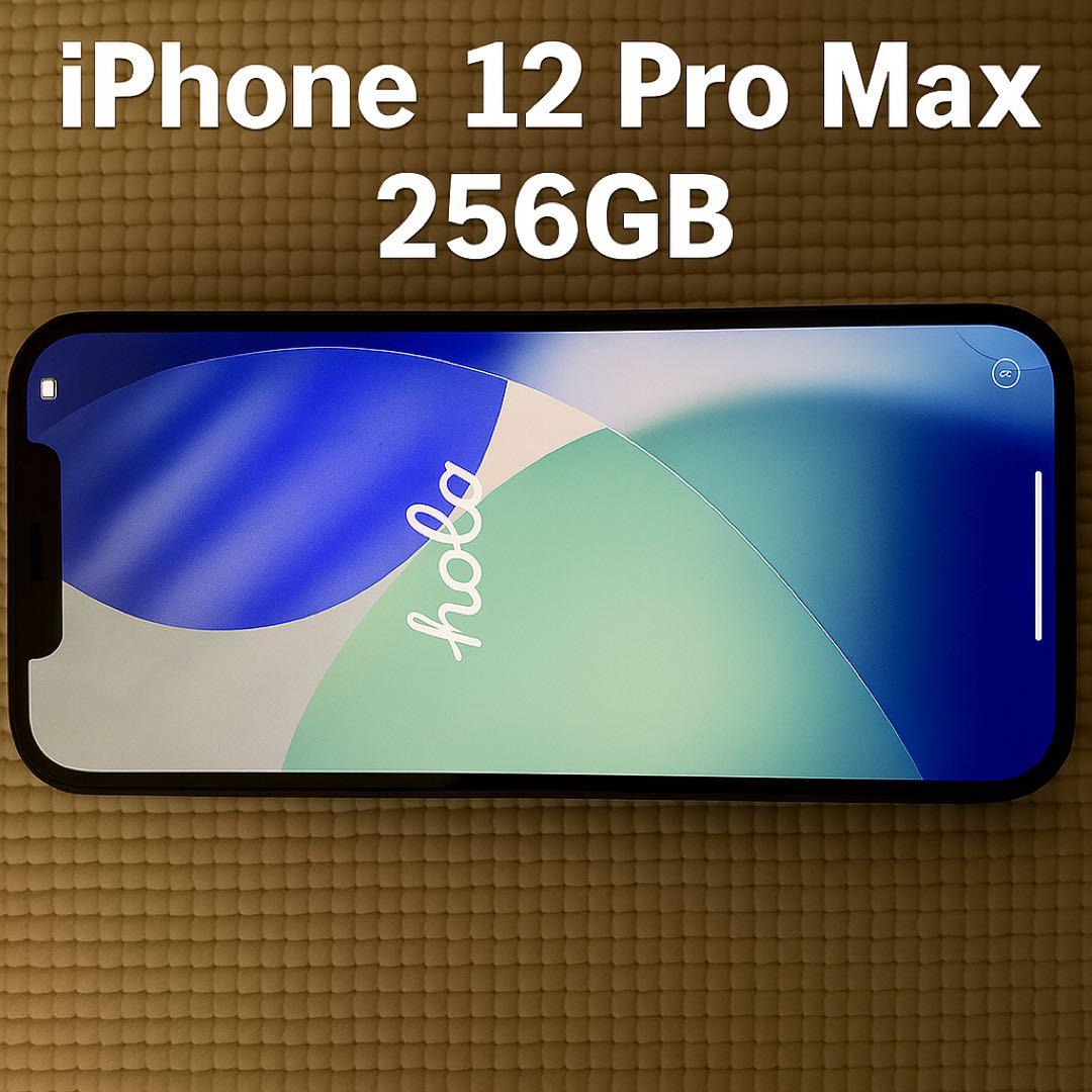 スマートフォン本体 iPhone 12 Pro Max 256GB