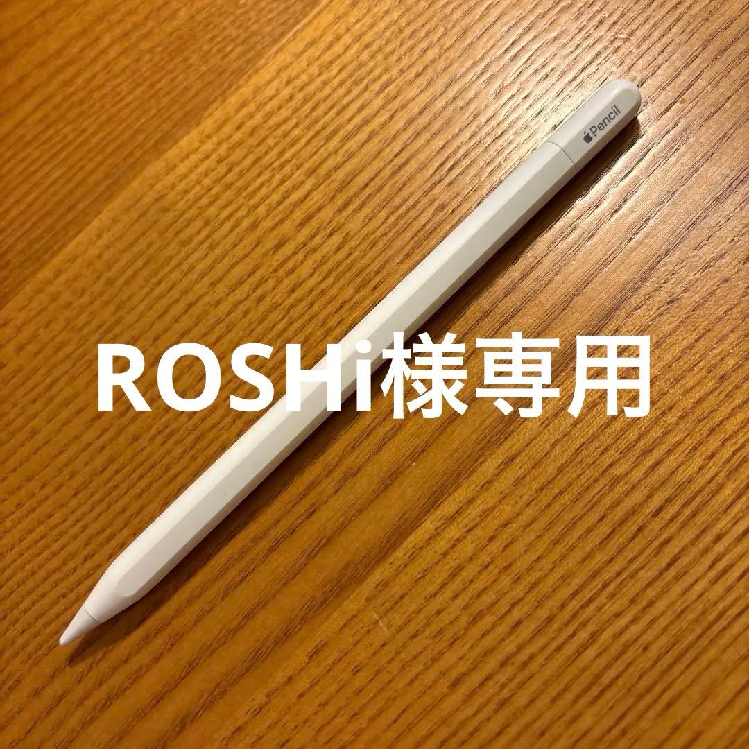 iPadアクセサリー Apple Pencil USB-C